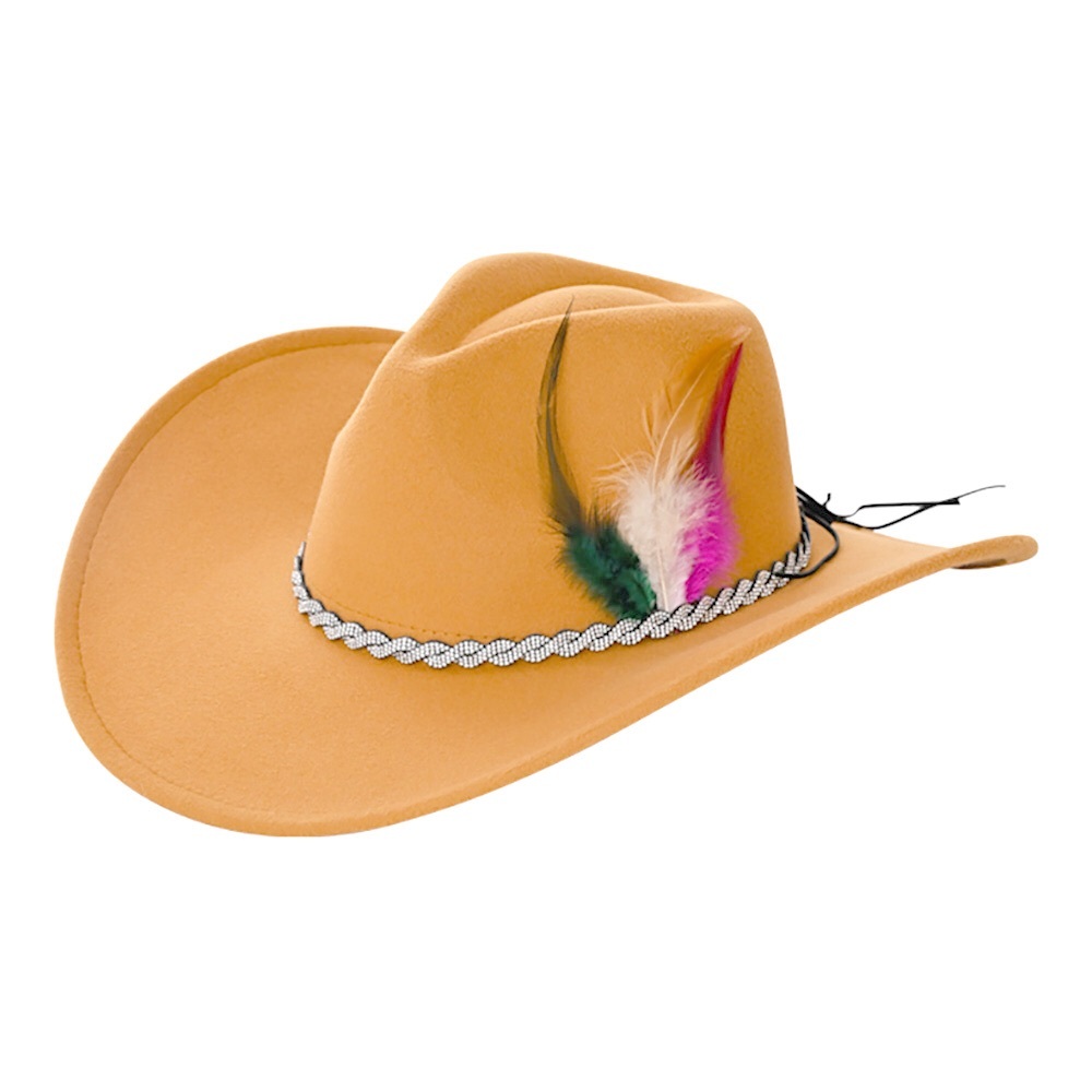 Feather Pointed Rhinestone Fedora Hat